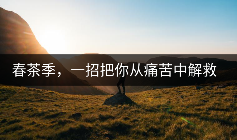 春茶季，一招把你從痛苦中解救出來