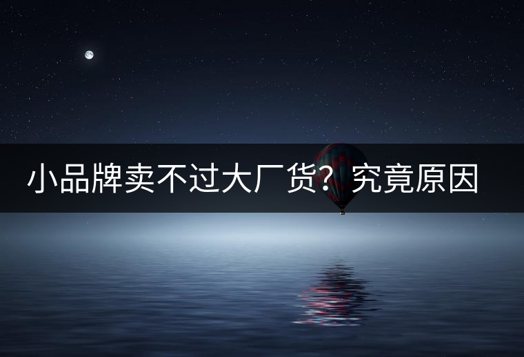 小品牌賣不過大廠貨?究竟原因何在…… 小品牌賣不過大廠貨?究竟原因何在……