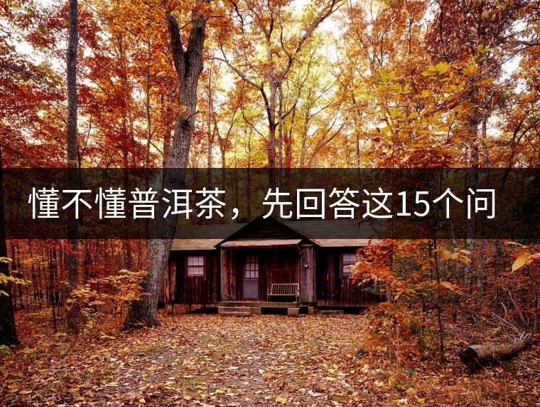 懂不懂普洱茶，先回答這15個(gè)問(wèn)題試試？