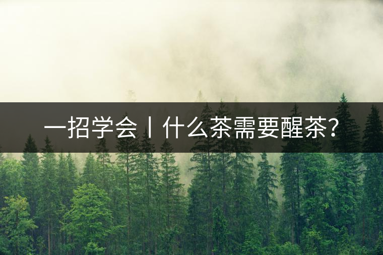 一招學會丨什么茶需要醒茶？