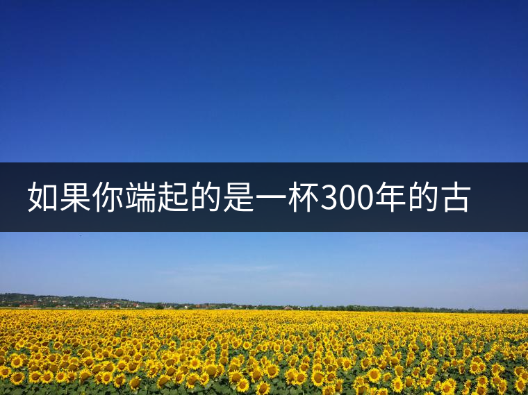 如果你端起的是一杯300年的古樹茶，那會(huì)是一種怎樣的心境？