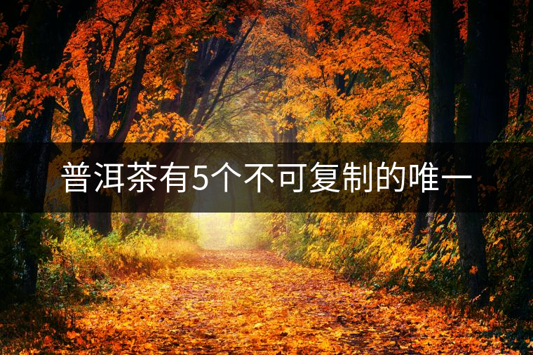 普洱茶有5個(gè)不可復(fù)制的唯一 普洱茶有5個(gè)不可復(fù)制的唯一
