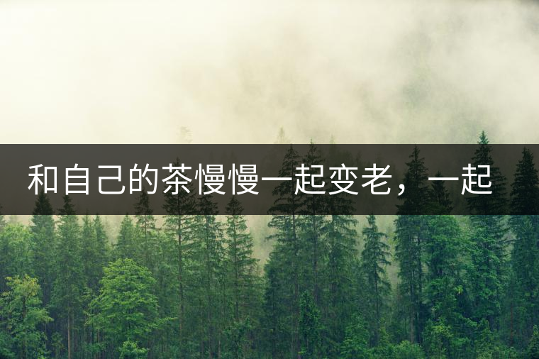 和自己的茶慢慢一起變老，一起變好