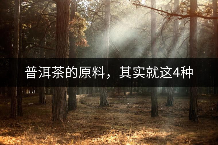 普洱茶的原料，其實(shí)就這4種