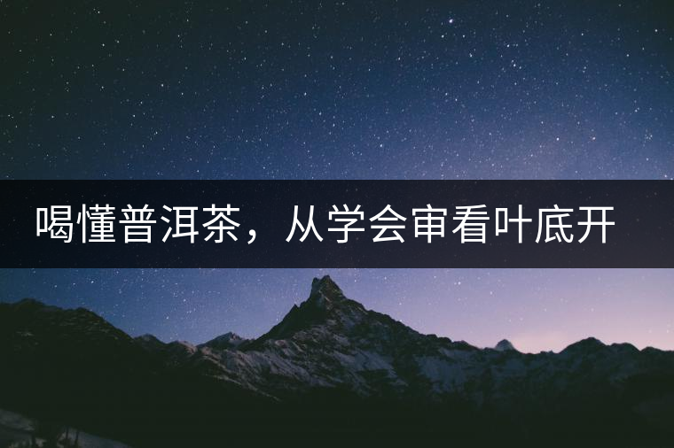 喝懂普洱茶,從學(xué)會審看葉底開始 喝懂普洱茶,從學(xué)會審看葉底開始