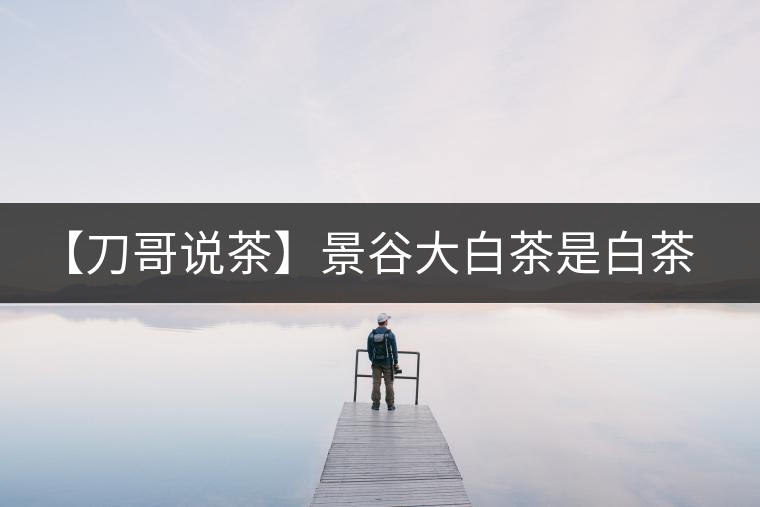 【刀哥說茶】景谷大白茶是白茶還是普洱茶？