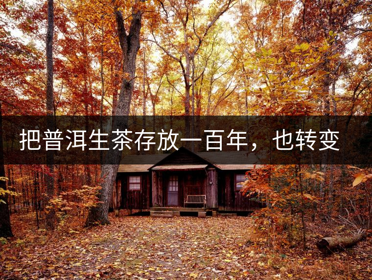 把普洱生茶存放一百年，也轉(zhuǎn)變不成熟茶