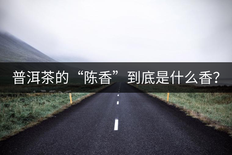 普洱茶的“陳香”到底是什么香？