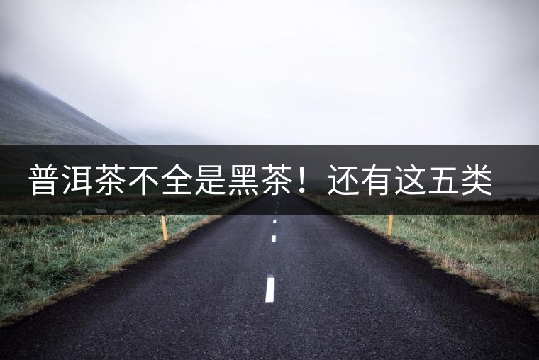 普洱茶不全是黑茶！還有這五類茶，現(xiàn)在知道還不算晚