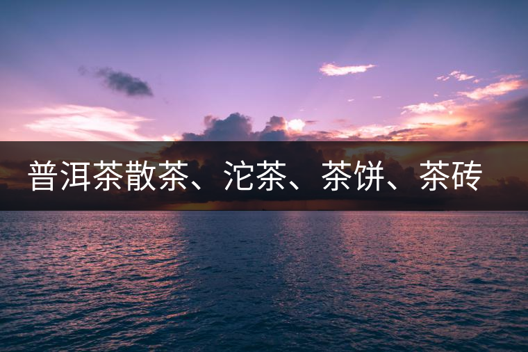 普洱茶散茶、沱茶、茶餅、茶磚哪種更好？