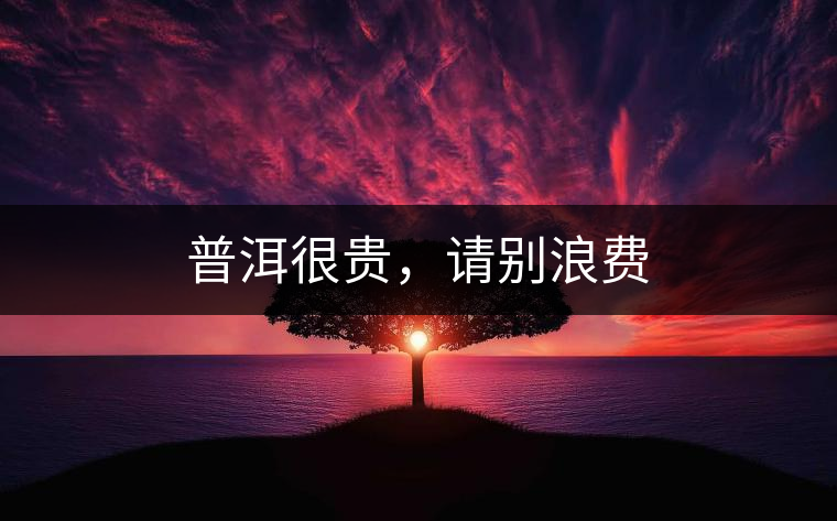 普洱很貴，請(qǐng)別浪費(fèi)