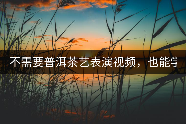 不需要普洱茶藝表演視頻，也能學會的茶藝！