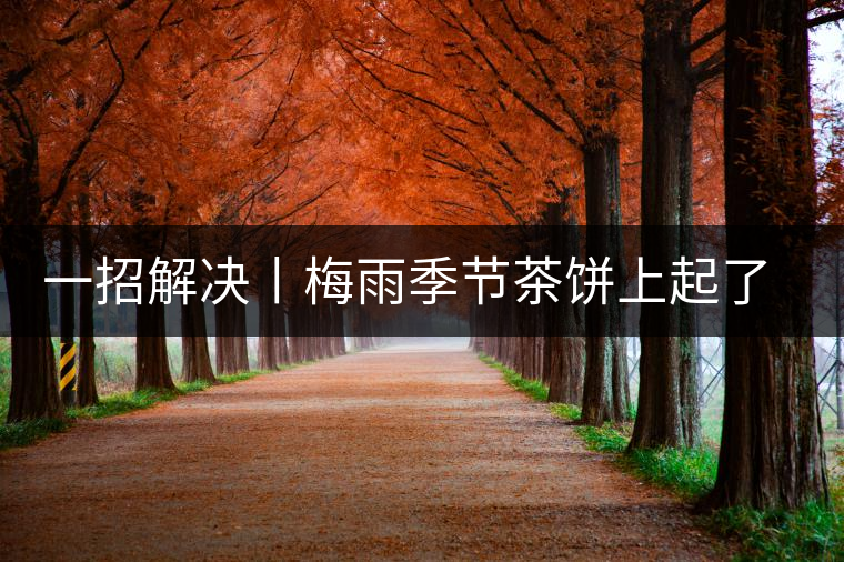 一招解決丨梅雨季節(jié)茶餅上起了白霜白點(diǎn)怎么辦？