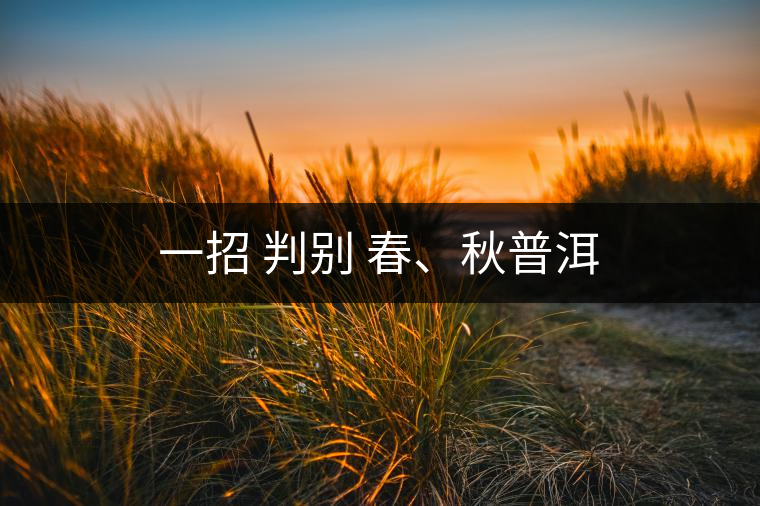 一招 判別 春、秋普洱