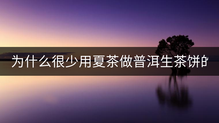 為什么很少用夏茶做普洱生茶餅的？