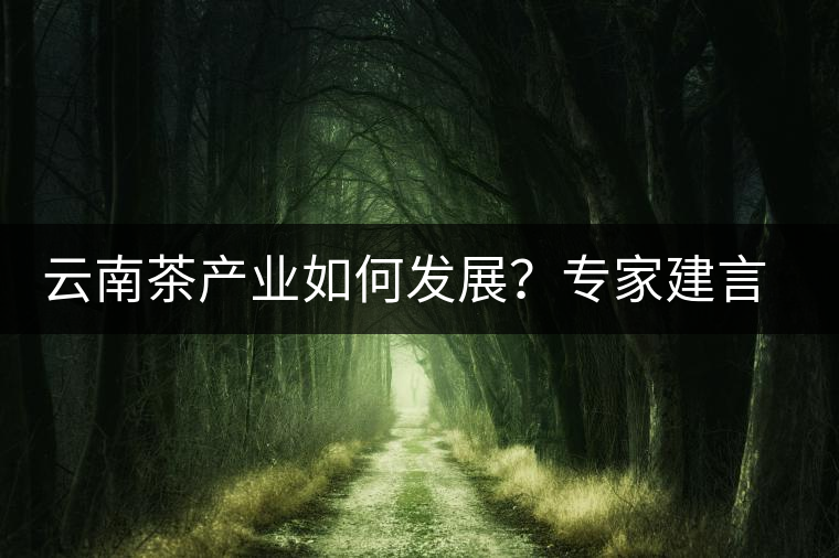 云南茶產(chǎn)業(yè)如何發(fā)展？專家建言：產(chǎn)業(yè)復(fù)興助脫貧