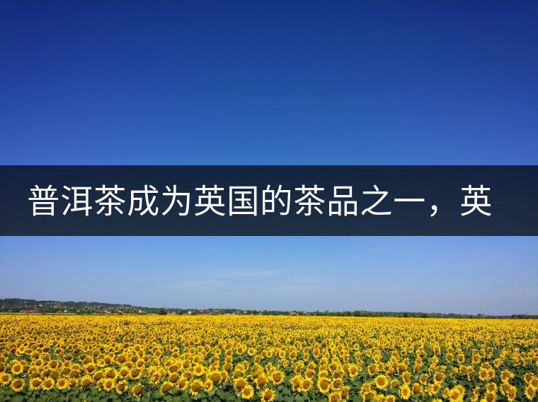 普洱茶成為英國(guó)的茶品之一,英國(guó)雜志給出7大理由 普洱茶成為英國(guó)的茶品之一,英國(guó)雜志給出7大理由