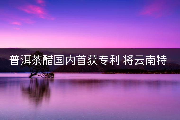 普洱茶醋國(guó)內(nèi)首獲專利 將云南特色推往全國(guó)各地