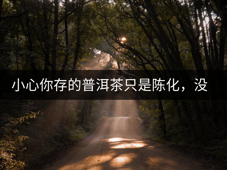 小心你存的普洱茶只是陳化,沒有轉(zhuǎn)化 小心你存的普洱茶只是陳化,沒有轉(zhuǎn)化