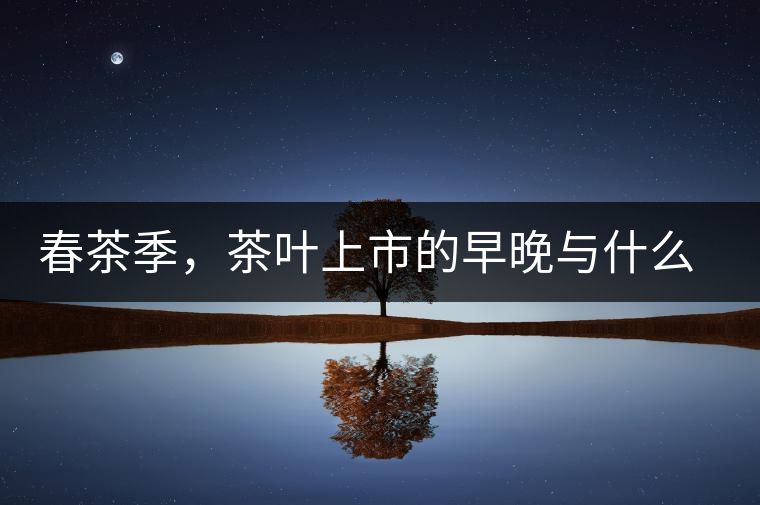 春茶季，茶葉上市的早晚與什么有關(guān)