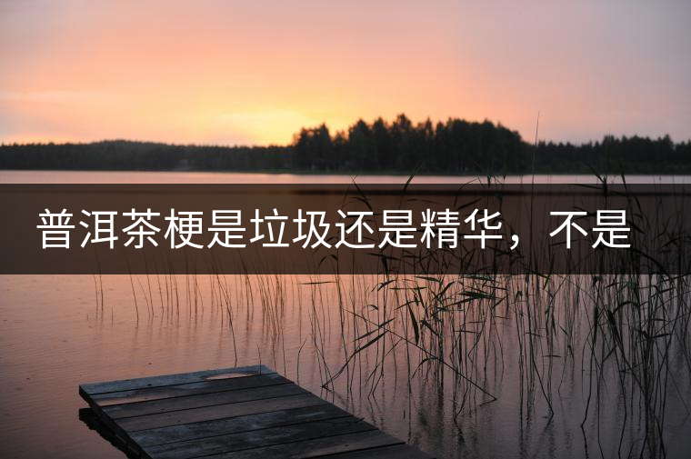 普洱茶梗是垃圾還是精華，不是一個(gè)人說的算