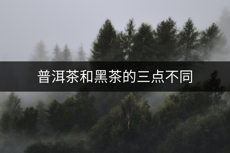 普洱茶和黑茶的三點(diǎn)不同 普洱茶和黑茶的三點(diǎn)不同