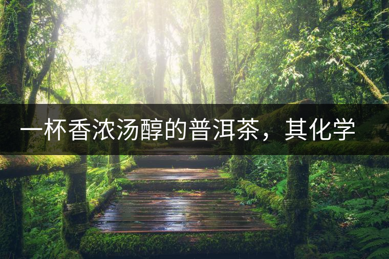 一杯香濃湯醇的普洱茶，其化學成分是怎樣的？