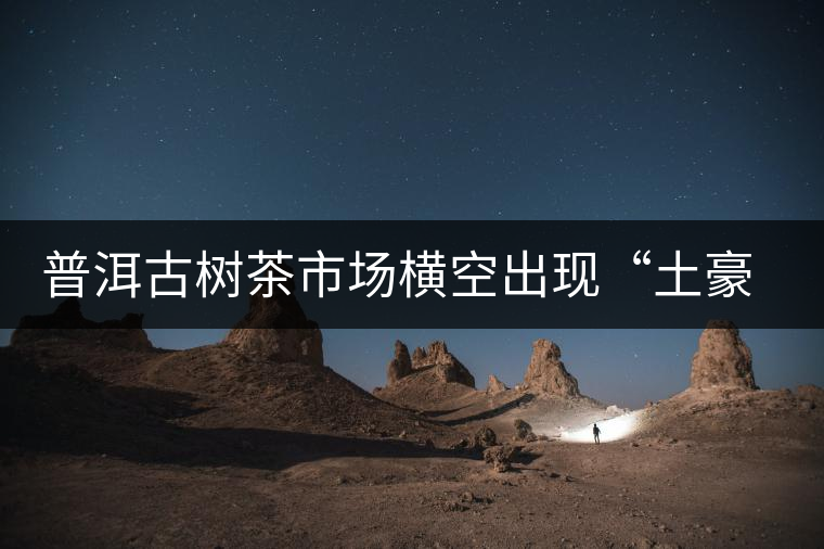 普洱古樹茶市場橫空出現(xiàn)“土豪”品牌