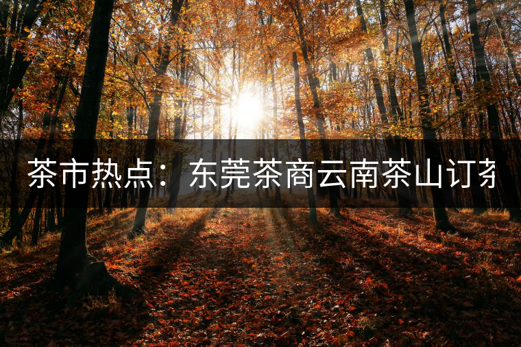 茶市熱點:東莞茶商云南茶山訂茶 豪派300萬 茶市熱點:東莞茶商云南茶山訂茶 豪派300萬