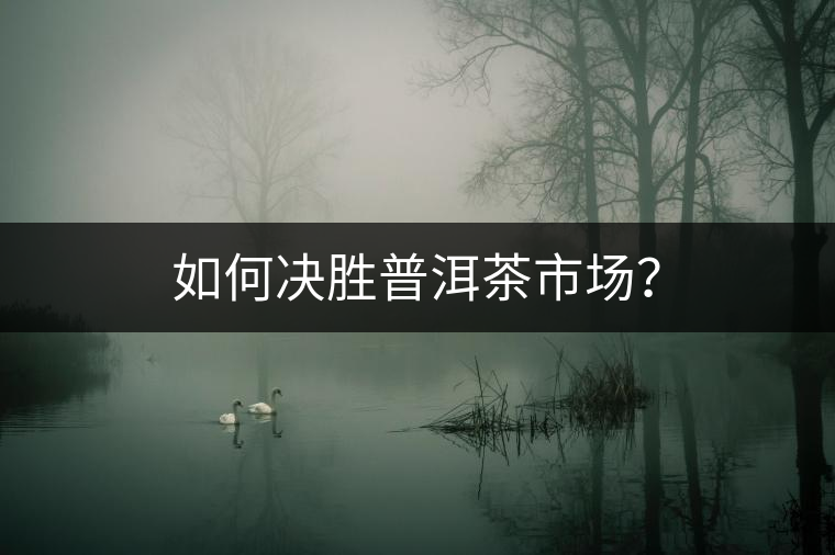 如何決勝普洱茶市場(chǎng)？