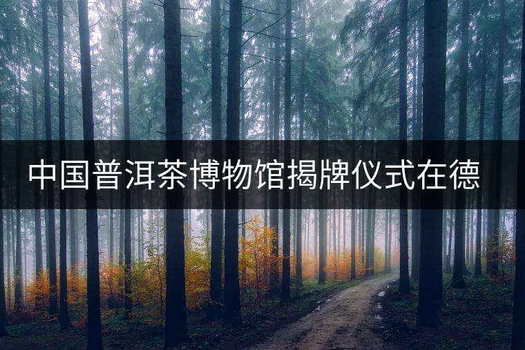 中國普洱茶博物館揭牌儀式在德宏芒市舉行 中國普洱茶博物館揭牌儀式在德宏芒市舉行