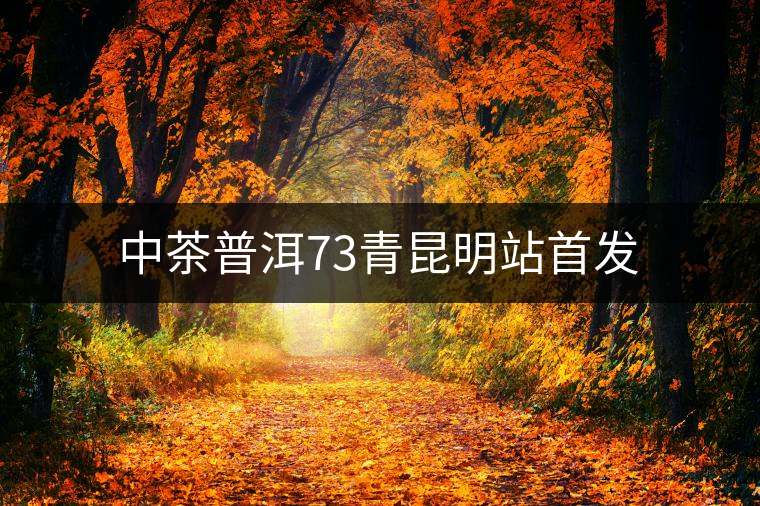中茶普洱73青昆明站首發(fā)