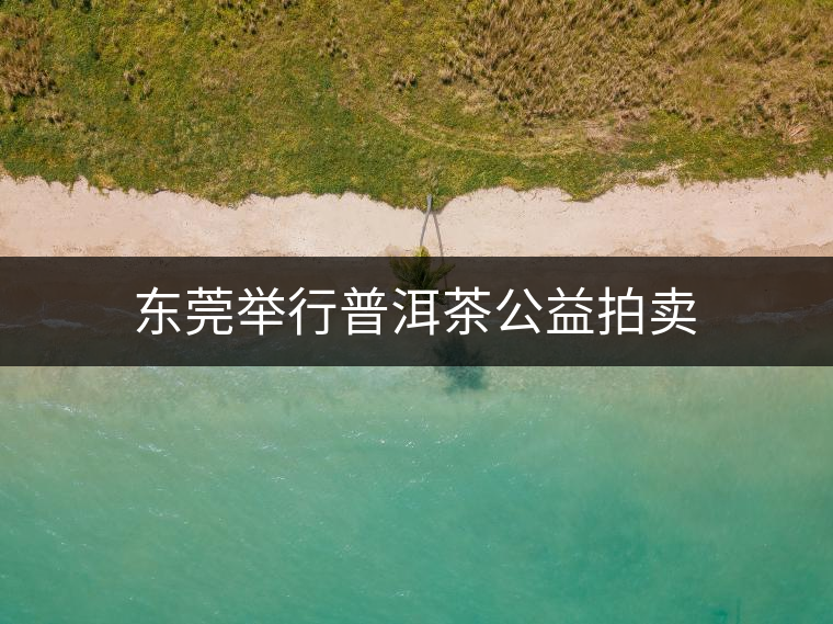 東莞舉行普洱茶公益拍賣(mài)