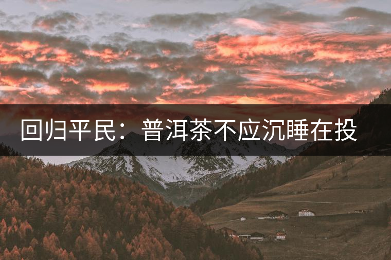 回歸平民：普洱茶不應沉睡在投資藏家的倉庫里