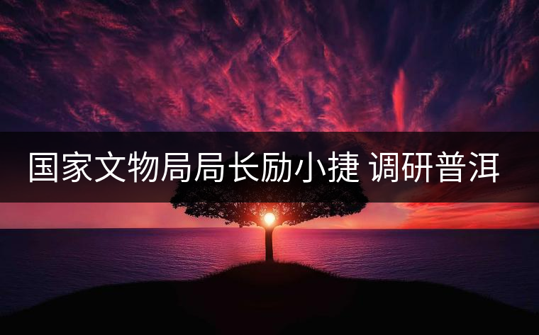 國家文物局局長勵小捷 調(diào)研普洱景邁山古茶園申遺工作 國家文物局局長勵小捷 調(diào)研普洱景邁山古茶園申遺工作