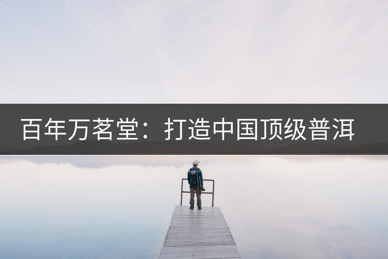 百年萬茗堂：打造中國(guó)頂級(jí)普洱茶禮