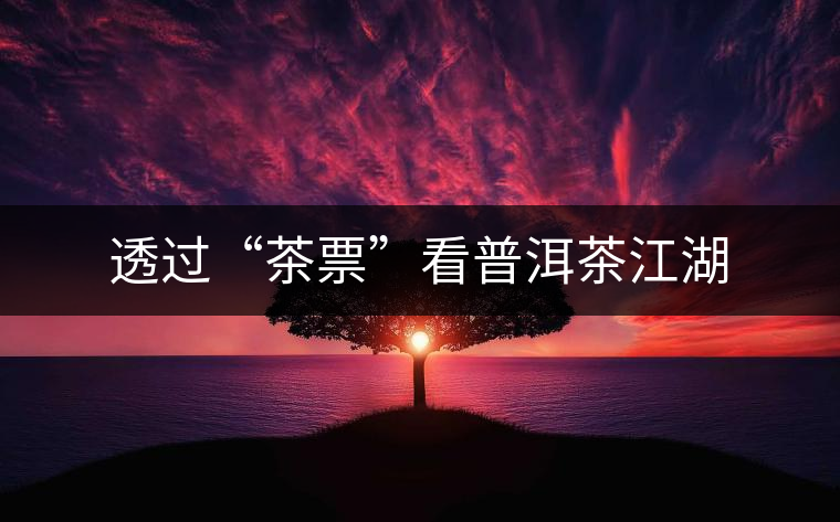透過(guò)“茶票”看普洱茶江湖 透過(guò)“茶票”看普洱茶江湖