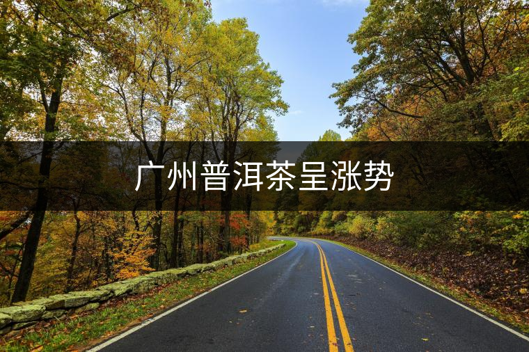 廣州普洱茶呈漲勢(shì)