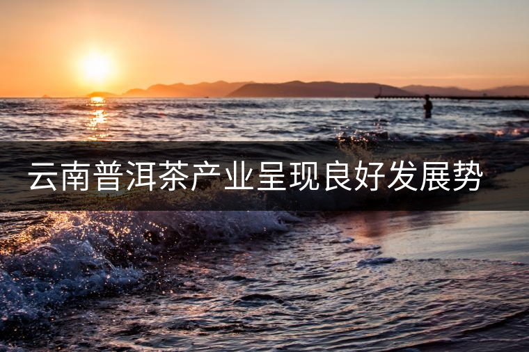 云南普洱茶產(chǎn)業(yè)呈現(xiàn)良好發(fā)展勢(shì)頭 云南普洱茶產(chǎn)業(yè)呈現(xiàn)良好發(fā)展勢(shì)頭