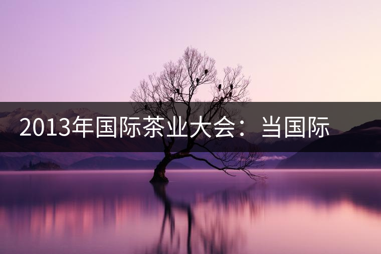2013年國(guó)際茶業(yè)大會(huì):當(dāng)國(guó)際元素遇上普洱 2013年國(guó)際茶業(yè)大會(huì):當(dāng)國(guó)際元素遇上普洱