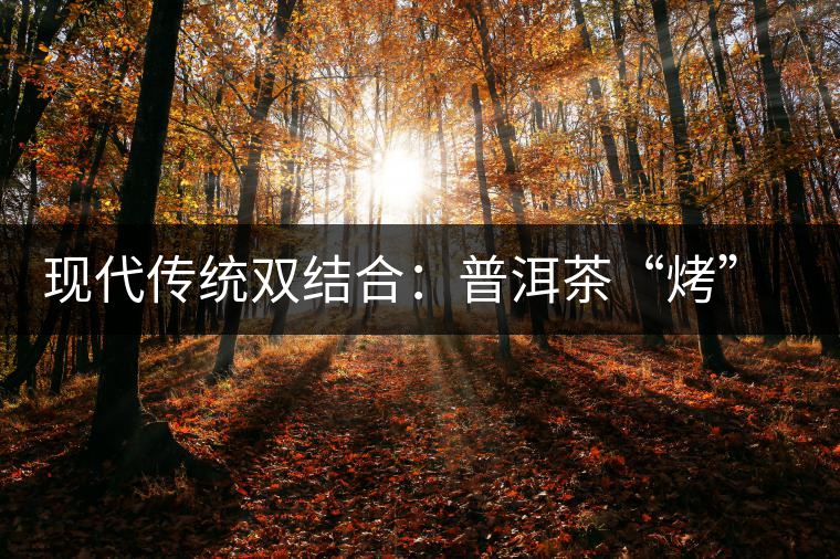 現(xiàn)代傳統(tǒng)雙結(jié)合：普洱茶“烤”上了太陽(yáng)能