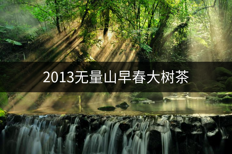 2013無(wú)量山早春大樹(shù)茶 2013無(wú)量山早春大樹(shù)茶