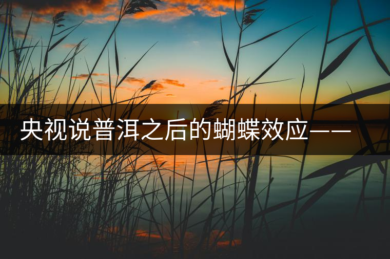 央視說(shuō)普洱之后的蝴蝶效應(yīng)——過(guò)度開(kāi)采會(huì)出現(xiàn)“死循環(huán)”? 央視說(shuō)普洱之后的蝴蝶效應(yīng)——過(guò)度開(kāi)采會(huì)出現(xiàn)“死循環(huán)”?