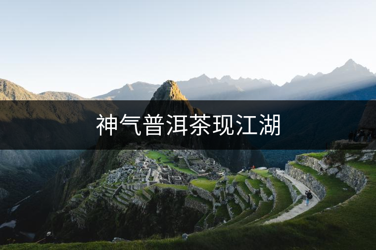 神氣普洱茶現(xiàn)江湖 神氣普洱茶現(xiàn)江湖