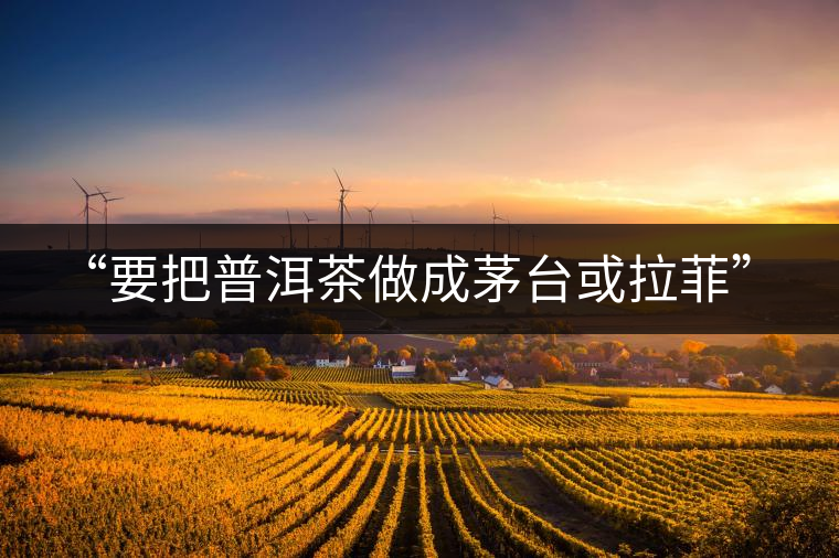 “要把普洱茶做成茅臺或拉菲”