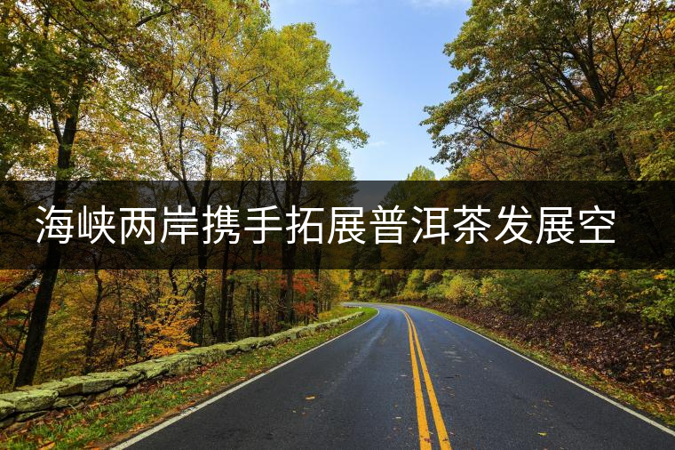 海峽兩岸攜手拓展普洱茶發(fā)展空間 海峽兩岸攜手拓展普洱茶發(fā)展空間