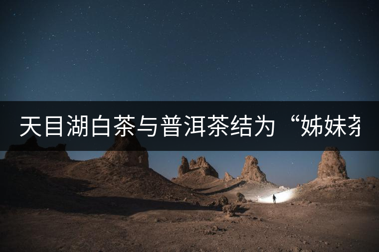 天目湖白茶與普洱茶結(jié)為“姊妹茶” 天目湖白茶與普洱茶結(jié)為“姊妹茶”