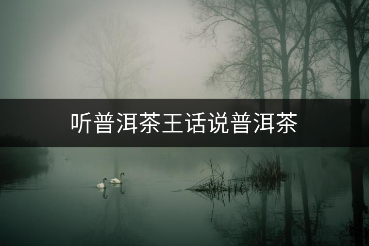 聽普洱茶王話說普洱茶 聽普洱茶王話說普洱茶