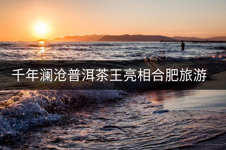 千年瀾滄普洱茶王亮相合肥旅游商品展 千年瀾滄普洱茶王亮相合肥旅游商品展