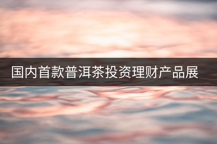 國(guó)內(nèi)首款普洱茶投資理財(cái)產(chǎn)品展開路演推介 國(guó)內(nèi)首款普洱茶投資理財(cái)產(chǎn)品展開路演推介